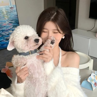 失物招领 在线观看封面